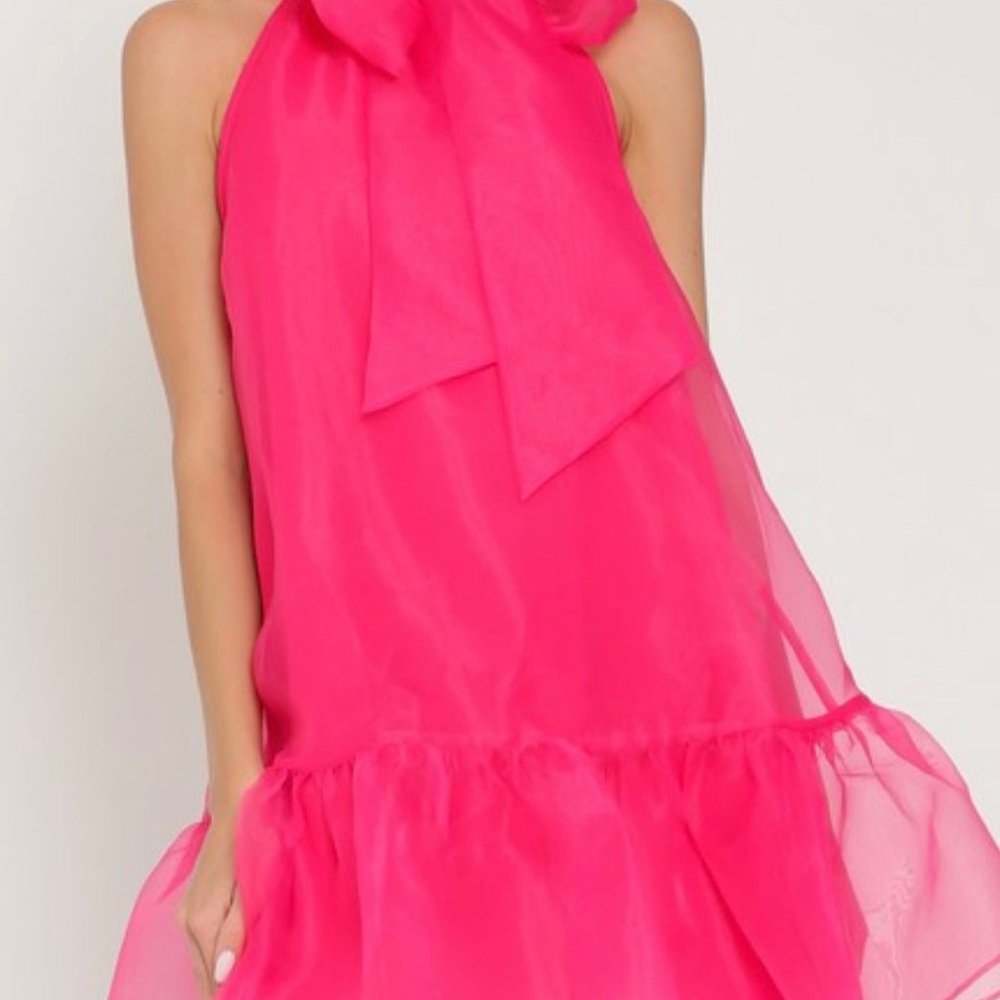 NEW TCEC PINK ORGANZA DRESS